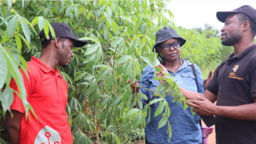 IITA Research Assistant, Ally Ng’adoa (left), Kiddo Mtunda, BEST cassava researcher and Hasaeli John (right), MEDA field officer evaluating the performance of cassava in Alamin’s farm in Handeni district. (IITA/G.Ndibalema)